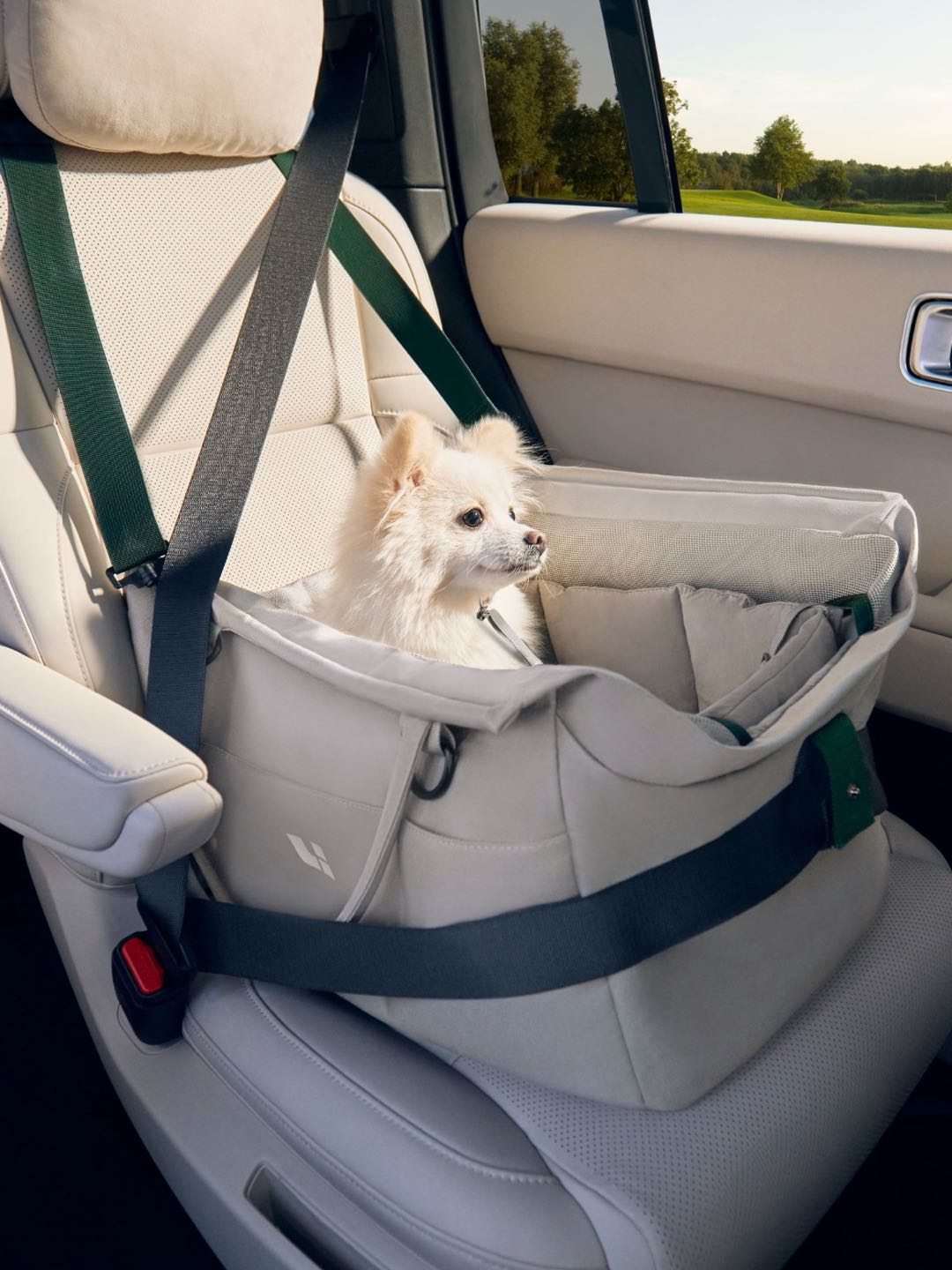 Pet travel seat